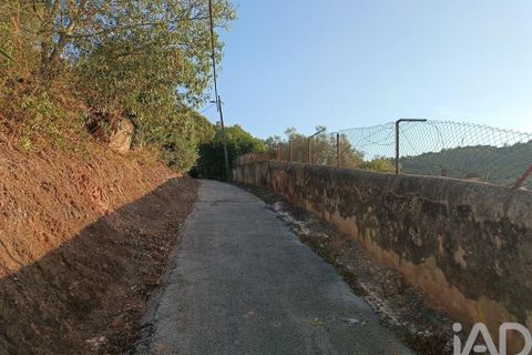 Terra a Alenquer, Lisbon, Alenquer - € 350.000 | Ref: 139289 - foto 25