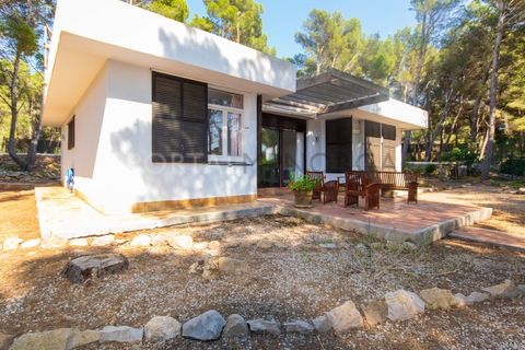 Villa a Son Parc, Menorca, Son Parc - € 540.000 | Ref: T1705 - foto 7