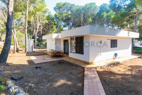 Villa a Son Parc, Menorca, Son Parc - € 540.000 | Ref: T1705 - foto 35