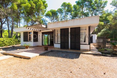 Villa a Son Parc, Menorca, Son Parc - € 540.000 | Ref: T1705 - foto 36