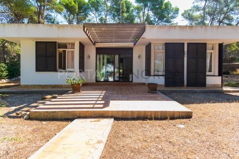 Villa a Son Parc, Menorca, Son Parc - € 540.000 | Ref: T1705 - foto 37