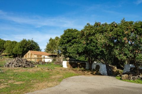 Landejendom i Mahon, Menorca, Mahon - € 1.750.000 | Ref: V3138 - foto 38