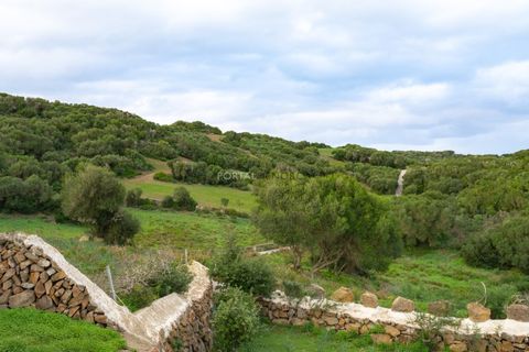 Landejendom i Mahon, Menorca, Mahon - € 1.750.000 | Ref: V3138 - foto 40