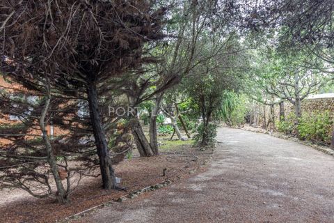 Landejendom i Llucmacanes, Menorca, Llucmacanes - € 1.450.000 | Ref: M9221 - foto 36