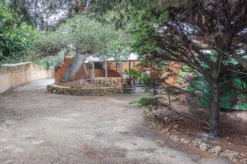 Landejendom i Llucmacanes, Menorca, Llucmacanes - € 1.450.000 | Ref: M9221 - foto 37