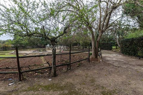 Landejendom i Llucmacanes, Menorca, Llucmacanes - € 1.450.000 | Ref: M9221 - foto 45