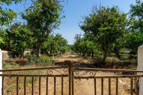 Landejendom i Alaior, Menorca, Alaior - € 3.536.000 | Ref: VS2074 - foto 12