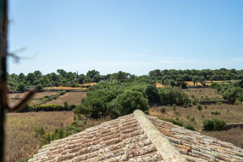 Landejendom i Alaior, Menorca, Alaior - € 3.536.000 | Ref: VS2074 - foto 40