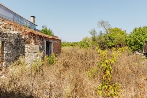 Villa a Cantanhede, Coimbra, Cantanhede - € 55.000 | Ref: CNTDC 6047 - foto 2