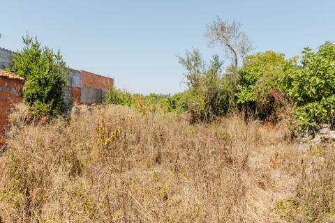 Villa a Cantanhede, Coimbra, Cantanhede - € 55.000 | Ref: CNTDC 6047 - foto 6