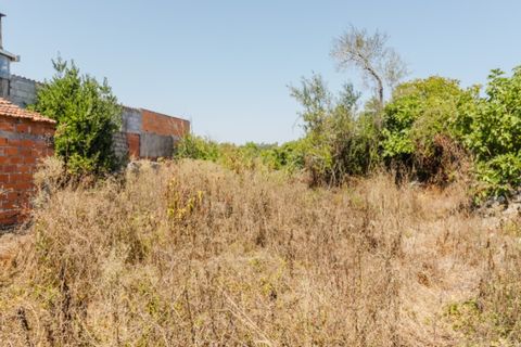 Villa a Cantanhede, Coimbra, Cantanhede - € 55.000 | Ref: CNTDC 6047 - foto 7