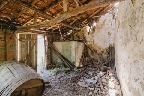 Villa a Cantanhede, Coimbra, Cantanhede - € 55.000 | Ref: CNTDC 6047 - foto 10