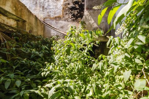 Villa a Cantanhede, Coimbra, Cantanhede - € 55.000 | Ref: CNTDC 6047 - foto 12