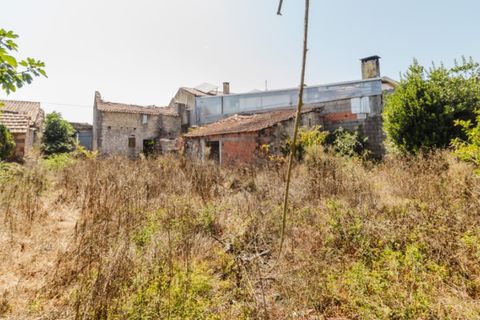 Villa a Cantanhede, Coimbra, Cantanhede - € 55.000 | Ref: CNTDC 6047 - foto 3