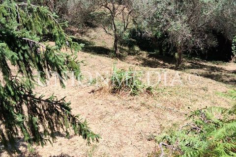 Helårsgrund i Arcola, La Spezia, Arcola - € 75.000 | Ref: 001527 - foto 14