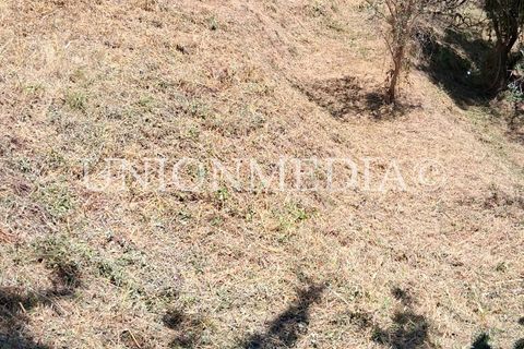 Helårsgrund i Arcola, La Spezia, Arcola - € 75.000 | Ref: 001527 - foto 15