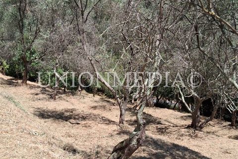 Helårsgrund i Arcola, La Spezia, Arcola - € 75.000 | Ref: 001527 - foto 16