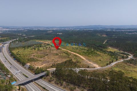 Helårsgrund i Leiria, Leiria, Leiria - € 18.000.000 | Ref: ANG380 - foto 5