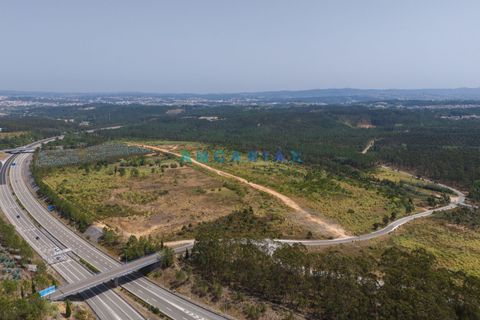 Helårsgrund i Leiria, Leiria, Leiria - € 18.000.000 | Ref: ANG380 - foto 4