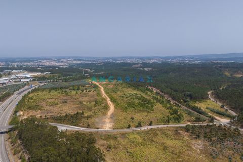 Helårsgrund i Leiria, Leiria, Leiria - € 18.000.000 | Ref: ANG380 - foto 7