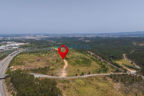 Helårsgrund i Leiria, Leiria, Leiria - € 18.000.000 | Ref: ANG380 - foto 3