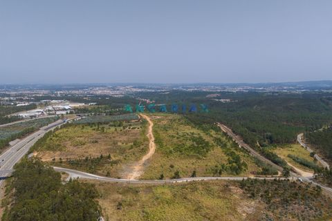 Helårsgrund i Leiria, Leiria, Leiria - € 18.000.000 | Ref: ANG380 - foto 8