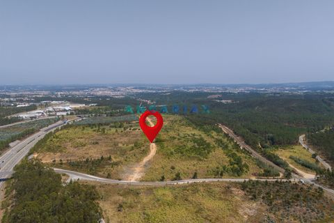 Helårsgrund i Leiria, Leiria, Leiria - € 18.000.000 | Ref: ANG380 - foto 6