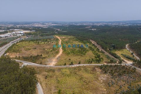 Helårsgrund i Leiria, Leiria, Leiria - € 18.000.000 | Ref: ANG380 - foto 9
