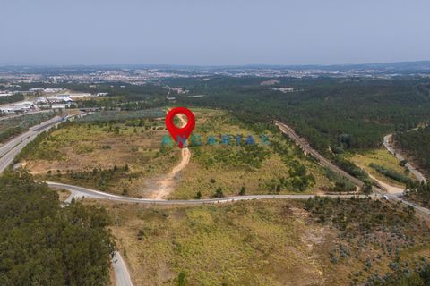 Helårsgrund i Leiria, Leiria, Leiria - € 18.000.000 | Ref: ANG380 - foto 10
