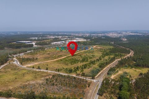 Helårsgrund i Leiria, Leiria, Leiria - € 18.000.000 | Ref: ANG380 - foto 12