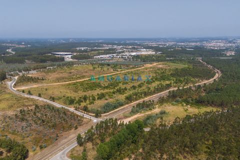 Helårsgrund i Leiria, Leiria, Leiria - € 18.000.000 | Ref: ANG380 - foto 13