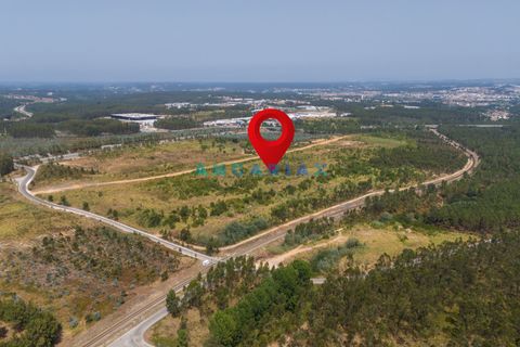 Helårsgrund i Leiria, Leiria, Leiria - € 18.000.000 | Ref: ANG380 - foto 1