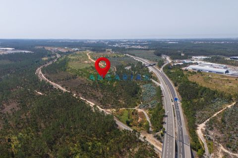 Helårsgrund i Leiria, Leiria, Leiria - € 18.000.000 | Ref: ANG380 - foto 17