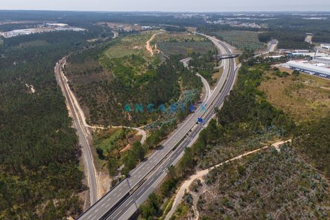 Helårsgrund i Leiria, Leiria, Leiria - € 18.000.000 | Ref: ANG380 - foto 18