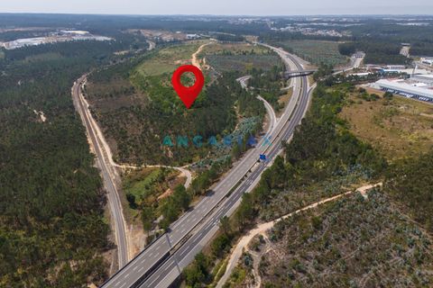 Helårsgrund i Leiria, Leiria, Leiria - € 18.000.000 | Ref: ANG380 - foto 19