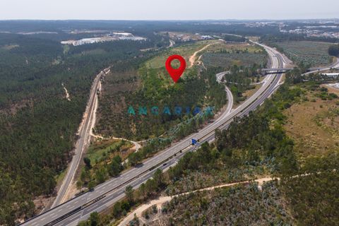 Helårsgrund i Leiria, Leiria, Leiria - € 18.000.000 | Ref: ANG380 - foto 21