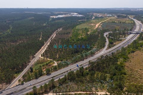 Helårsgrund i Leiria, Leiria, Leiria - € 18.000.000 | Ref: ANG380 - foto 22