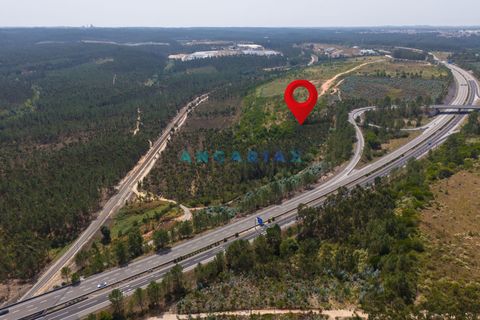 Helårsgrund i Leiria, Leiria, Leiria - € 18.000.000 | Ref: ANG380 - foto 23