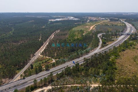 Helårsgrund i Leiria, Leiria, Leiria - € 18.000.000 | Ref: ANG380 - foto 24