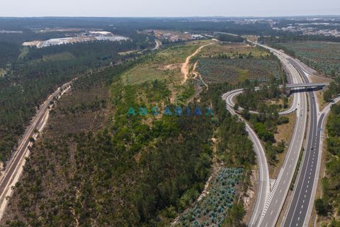 Helårsgrund i Leiria, Leiria, Leiria - € 18.000.000 | Ref: ANG380 - foto 25