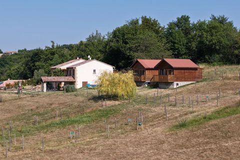 Villa a Saint-Marcellin, Isere, Saint-Marcellin - € 899.000 | Ref: 86160703 - foto 39