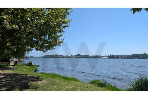 Helårsgrund i Agueda, Aveiro, Agueda - € 35.000 | Ref: KWPT-018579 - foto 6