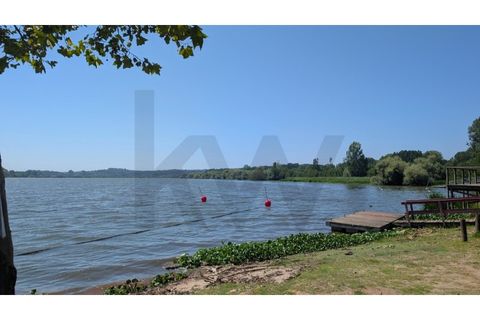 Helårsgrund i Agueda, Aveiro, Agueda - € 35.000 | Ref: KWPT-018579 - foto 8