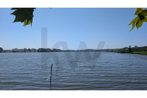 Helårsgrund i Agueda, Aveiro, Agueda - € 35.000 | Ref: KWPT-018579 - foto 11