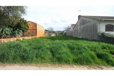 Helårsgrund i Agueda, Aveiro, Agueda - € 35.000 | Ref: KWPT-018579 - foto 1