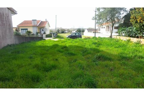 Helårsgrund i Agueda, Aveiro, Agueda - € 35.000 | Ref: KWPT-018579 - foto 2