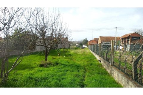 Helårsgrund i Agueda, Aveiro, Agueda - € 35.000 | Ref: KWPT-018579 - foto 4