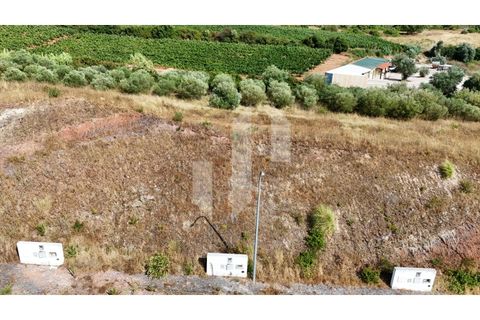 Helårsgrund i Alenquer, Lisbon, Alenquer - € 37.000 | Ref: PAR_133 - foto 3