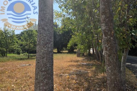 Helårsgrund i Ourem, Santarem, Ourem - € 39.000 | Ref: TER_767 - foto 2