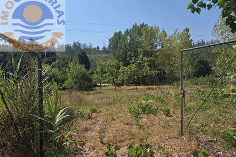Helårsgrund i Ourem, Santarem, Ourem - € 39.000 | Ref: TER_767 - foto 3